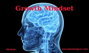 Growth Mindset dan skognes motivation blogger speaker teacher trainer coach educator